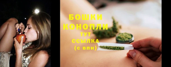 метадон Горняк