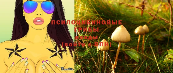 тгк Горнозаводск