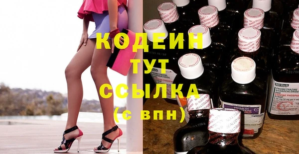 PSILOCYBIN Тайга