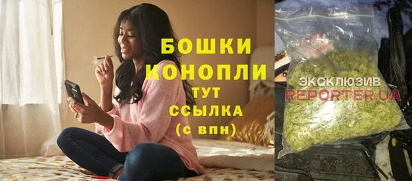 тгк Горнозаводск
