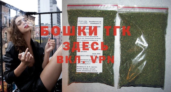 тгк Горнозаводск